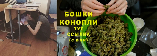 прущий лед Лагань