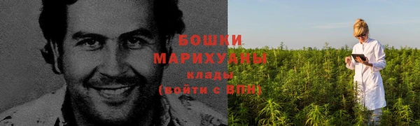 прущий лед Лагань