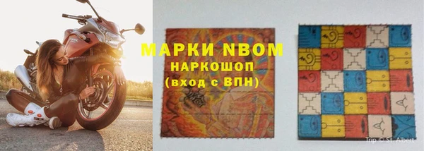 бошки Ладушкин