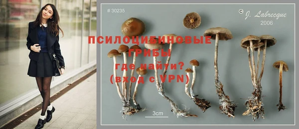 бошки Ладушкин