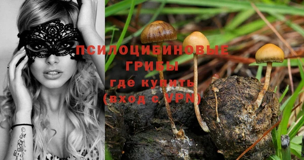apvp Лабытнанги