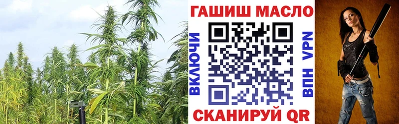 сколько стоит  Холм  ссылка на мегу маркетплейс  ТГК жижа 