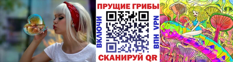 Галлюциногенные грибы Psilocybine cubensis  как найти   darknet какой сайт  Холм 